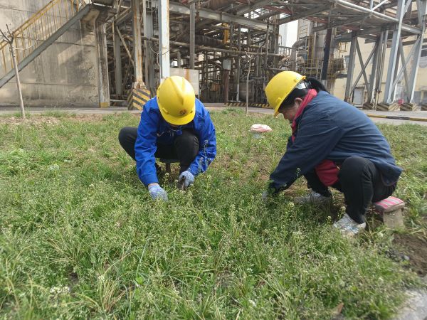 3月22日，行政保衛(wèi)部馬師傅和孫師傅在道路兩旁清除雜草。.jpg